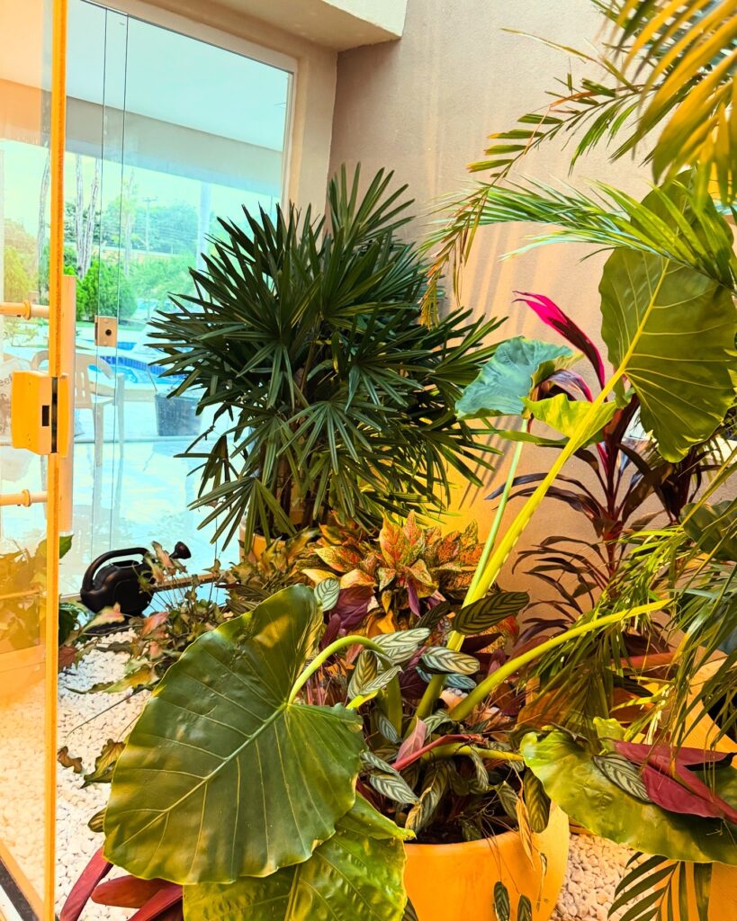 A0BB761B-6DD9-4DCF-994C-C29273CEE734